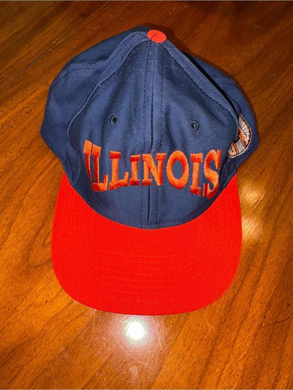 Vintage University Of Illinois SnapBack Hat